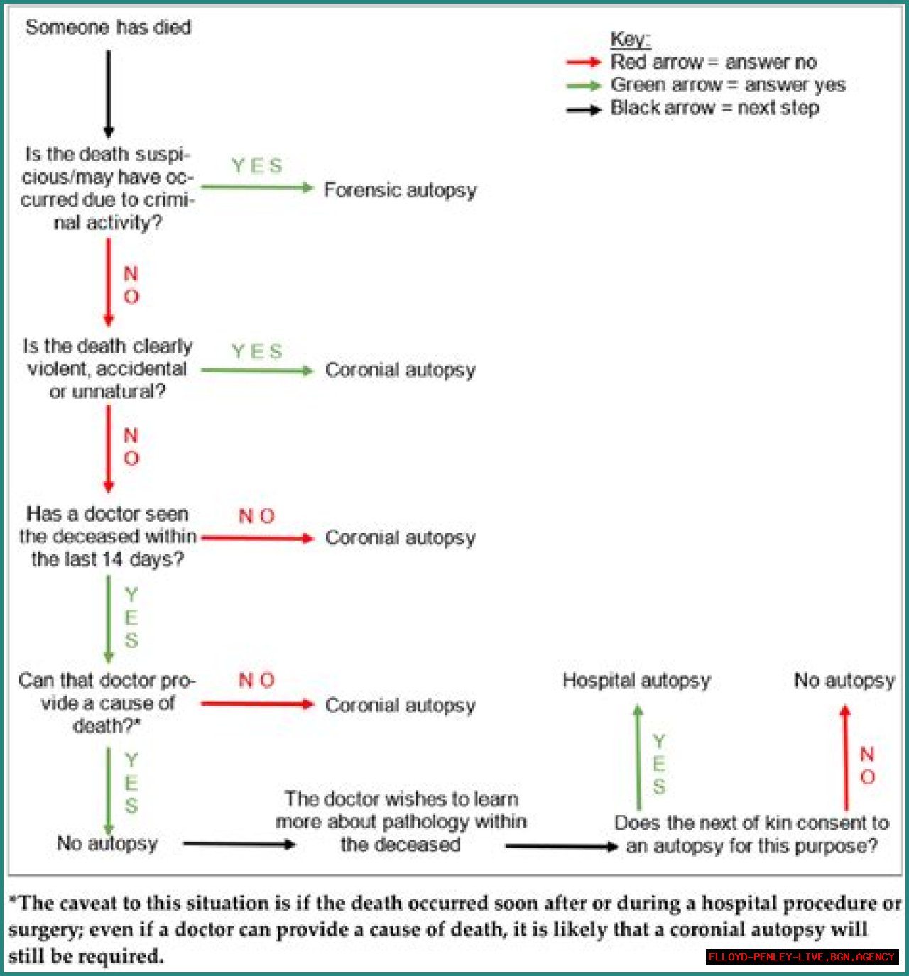 Deedee Autopsy Report: A Comprehensive Analysis